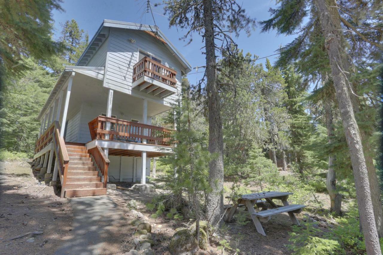 Bear Creek Cabin Government Camp Exteriör bild